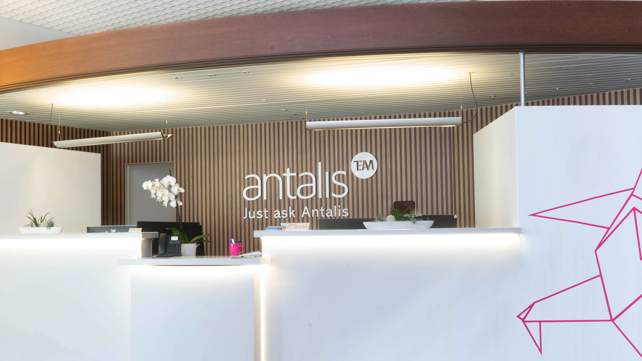 Antalis_5